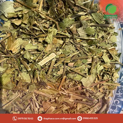 Đội ngũ THAPHACO hỗ trợ khách hàng sỉ