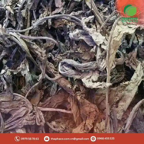 Lá khôi tía sấy khô THAPHACO - Sản phẩm chất lượng