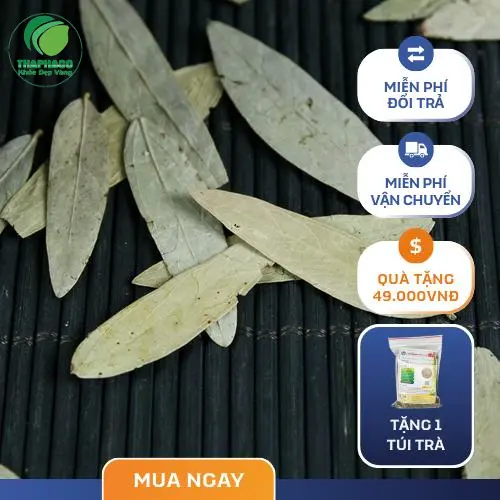 Đóng gói phan tả diệp khô chuyên nghiệp để vận chuyển