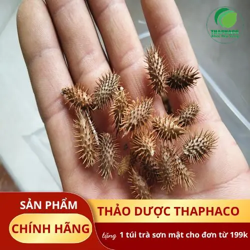 Dược liệu khô chất lượng THAPHACO