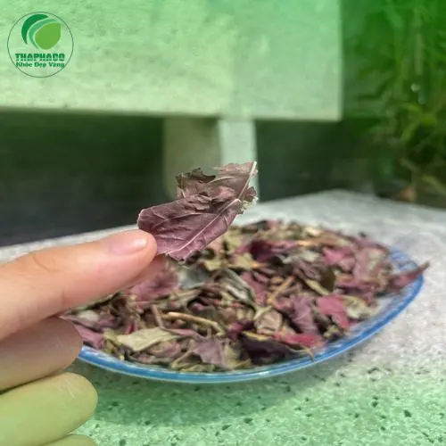 Đóng gói lá đơn đỏ sấy khô chuẩn bị giao hàng, dược liệu sỉ chất lượng