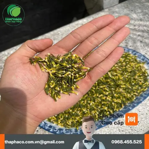 Kho dược liệu sỉ số lượng lớn tại TP.HCM của THAPHACO