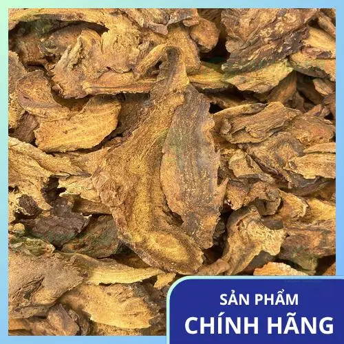 Một bông hoa Cà gai leo nở rộ, tượng trưng cho vẻ đẹp và công dụng của các loại thảo mộc.