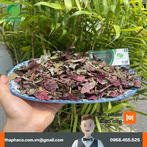 Đóng gói lá đơn đỏ chuyên nghiệp tại THAPHACO