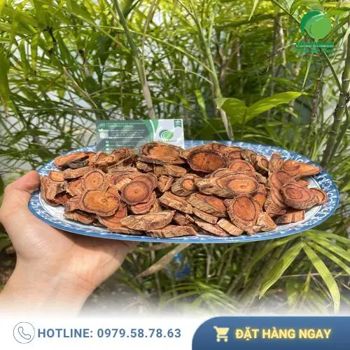 Kê Huyết Đằng chất lượng cao tại THAPHACO
