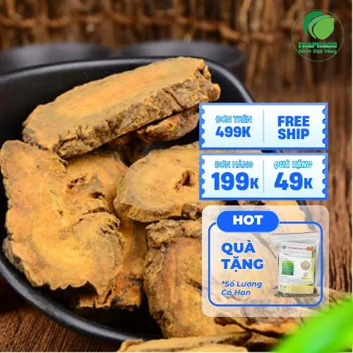 Dược liệu Đại Hoàng chất lượng cao tại THAPHACO