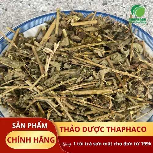 Kho dược liệu lớn của THAPHACO tại TP.HCM