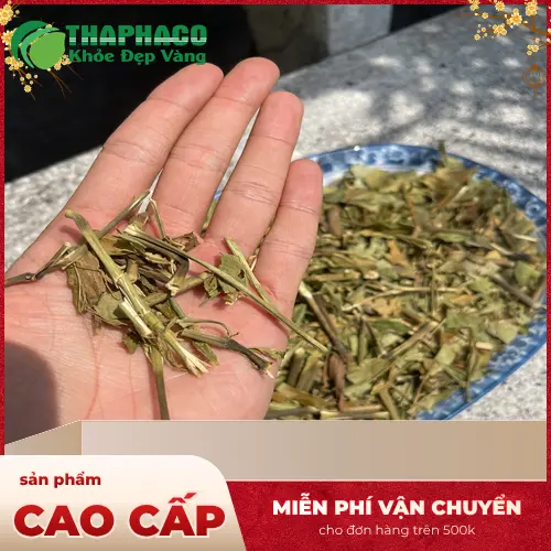 Địa chỉ Dược Liệu Sỉ THAPHACO tại Gò Vấp TP.HCM