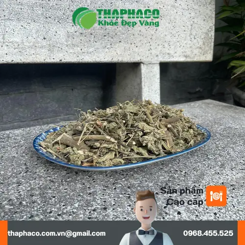 Hình ảnh cây cối xay tươi tự nhiên đang phát triển