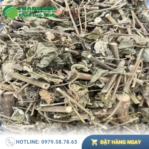 Quy trình sấy khô cây cối xay tại THAPHACO
