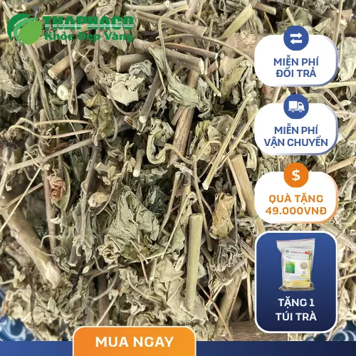 Quy trình chế biến cây cối xay khô tại THAPHACO đảm bảo chất lượng