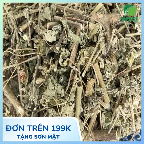 Quy trình sấy khô cây cối xay hiện đại tại THAPHACO