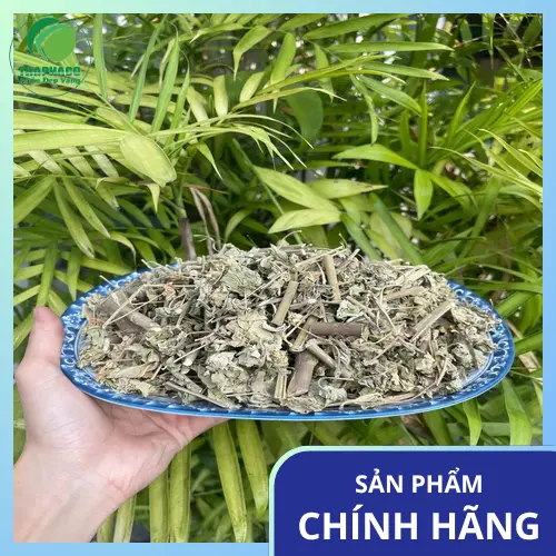 Hình ảnh một tách trà cây cối xay nóng hổi, tốt cho sức khỏe