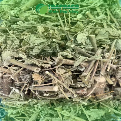 Hình ảnh cận cảnh lá và quả cây cối xay tươi, cho thấy nguồn gốc tự nhiên sạch của THAPHACO
