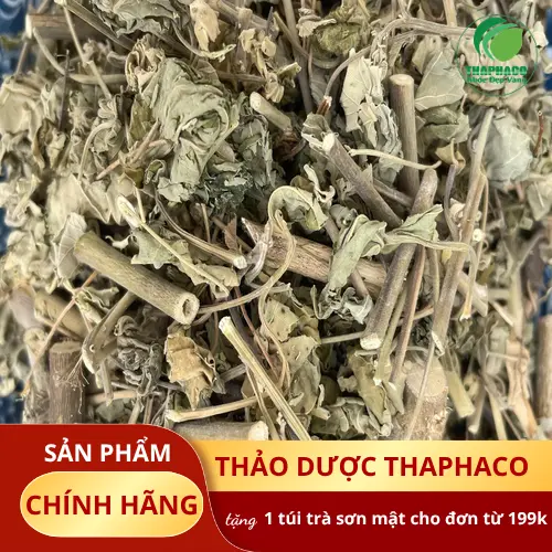 Khách hàng tham khảo dược liệu tại THAPHACO