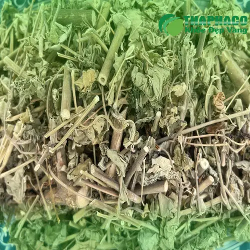 Hướng dẫn pha trà cây cối xay đúng cách