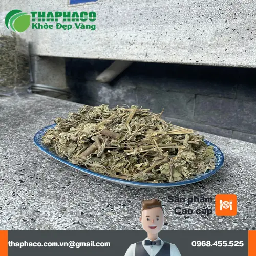 Cách bảo quản cây cối xay sấy khô giữ nguyên chất lượng