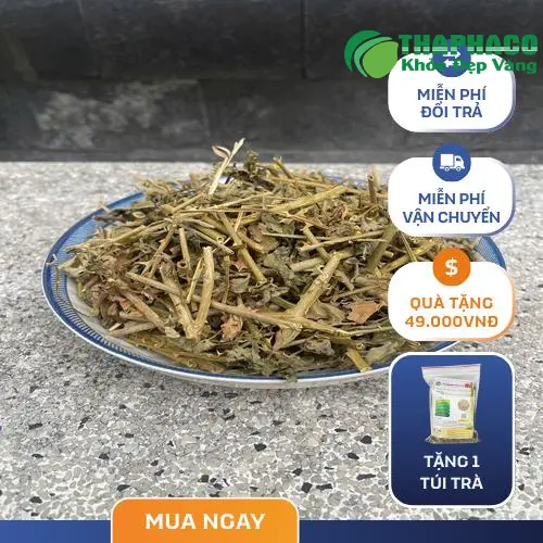 Hình ảnh cà gai leo sấy khô được đóng gói cẩn thận