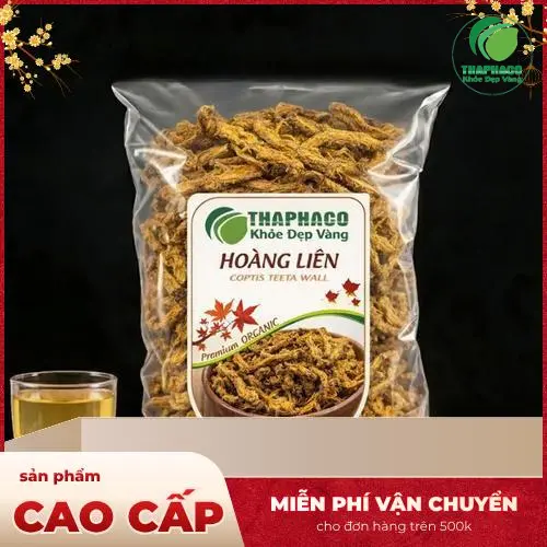 Hoàng Liên nguyên củ chưa sơ chế, hiển thị rễ và đất bám