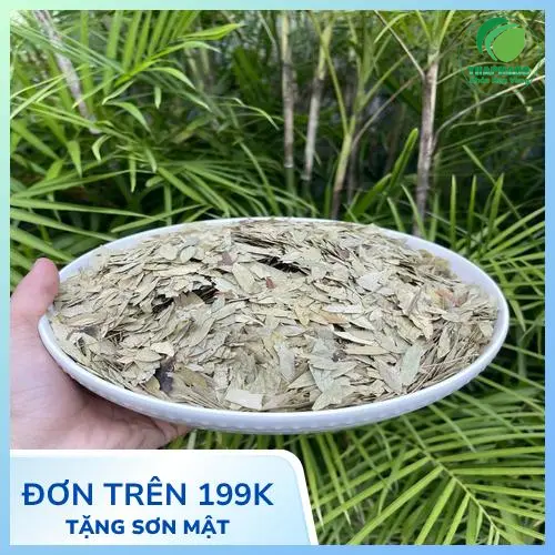 Hình ảnh Phan Tả Diệp khô tại THAPHACO
