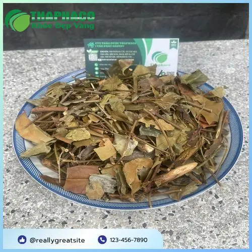Hình ảnh cây chè vằng tươi