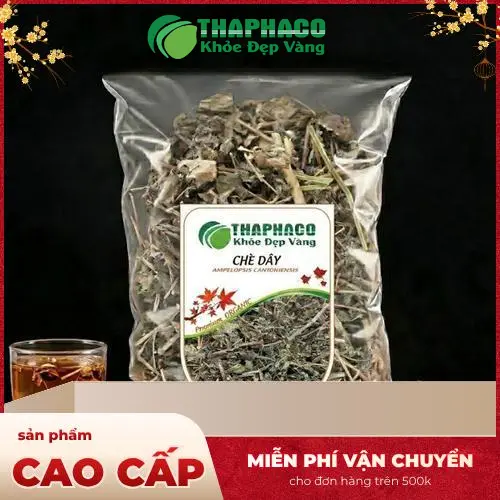 Pha chè dây đúng cách để tối ưu hiệu quả