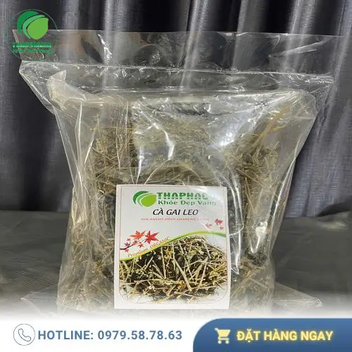 Bộ rễ cà gai leo chất lượng, được làm sạch và sấy khô