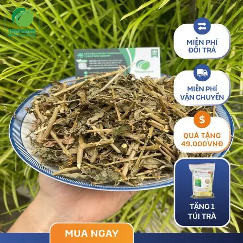 Hình ảnh cà gai leo khô chất lượng cao tại THAPHACO