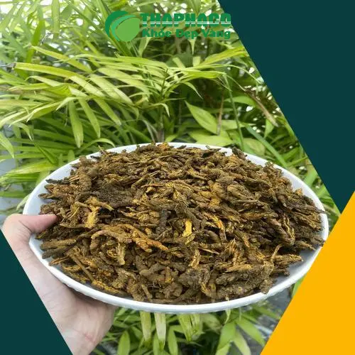 Hình ảnh Hoàng Liên đã thái lát và đóng gói sẵn sàng sắc thuốc
