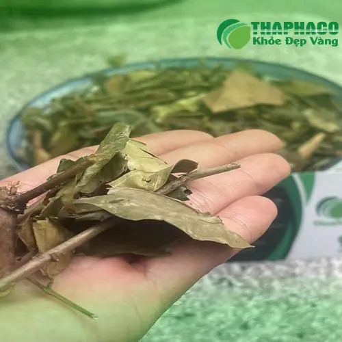 Phân tích thành phần hóa học của chè vằng