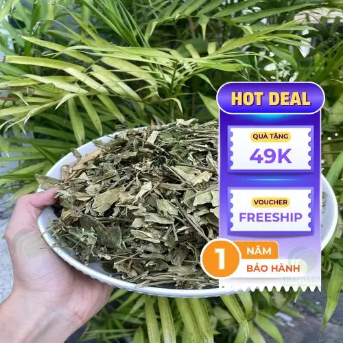 Báo giá Dây thìa canh chất lượng tại THAPHACO