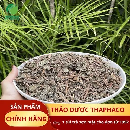 Mua chè dây chất lượng tại Dược Liệu Sỉ THAPHACO
