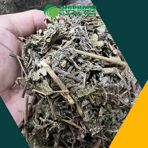 Chè dây THAPHACO đóng gói chuẩn