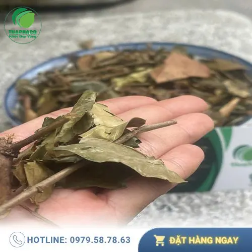Cách pha chè vằng khô