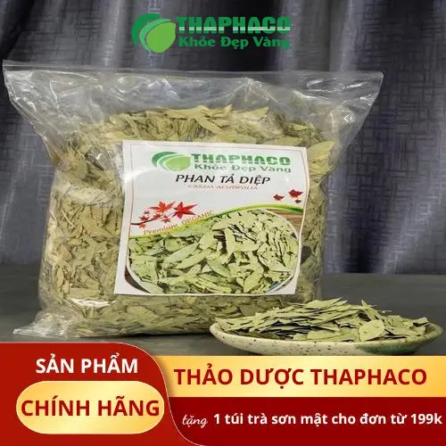 Phan Tả Diệp và Trà Sơn Mật - Bộ đôi sức khỏe