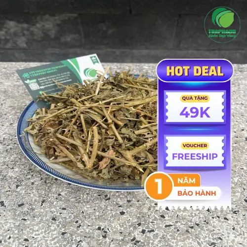Người dùng chia sẻ kinh nghiệm dùng cà gai leo