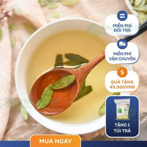 Dược liệu khô được đóng gói cẩn thận tại THAPHACO