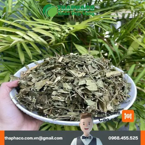 Dây Thìa Canh sấy khô đóng gói tại Dược Liệu Sỉ THAPHACO
