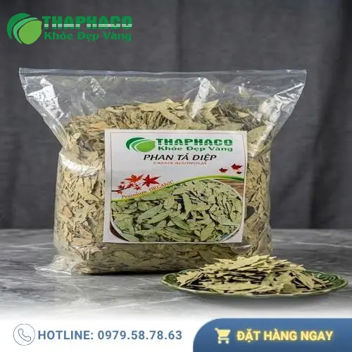 Phan Tả Diệp sấy khô, đóng gói cẩn thận tại THAPHACO