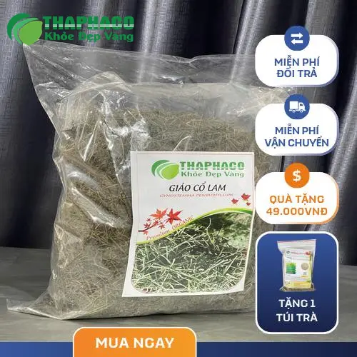 Hướng dẫn pha trà Giảo Cổ Lam sấy khô THAPHACO