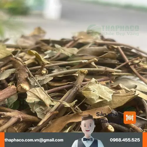 Biểu đồ theo dõi huyết áp khi sử dụng thảo dược