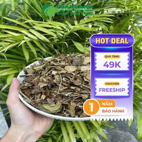 Chè vằng túi lọc tiện lợi