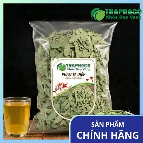 Hướng dẫn bảo quản dược liệu Phan Tả Diệp tối ưu