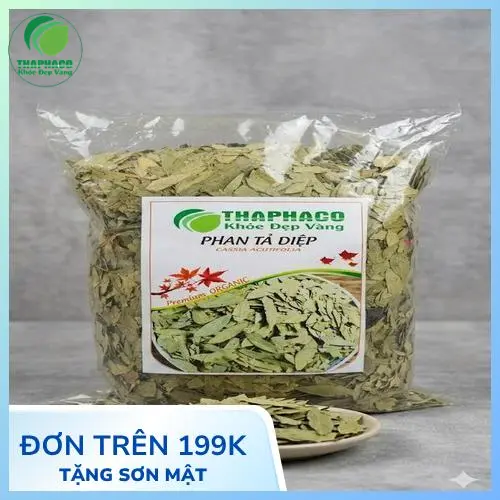 Kho dược liệu đạt chuẩn tại THAPHACO