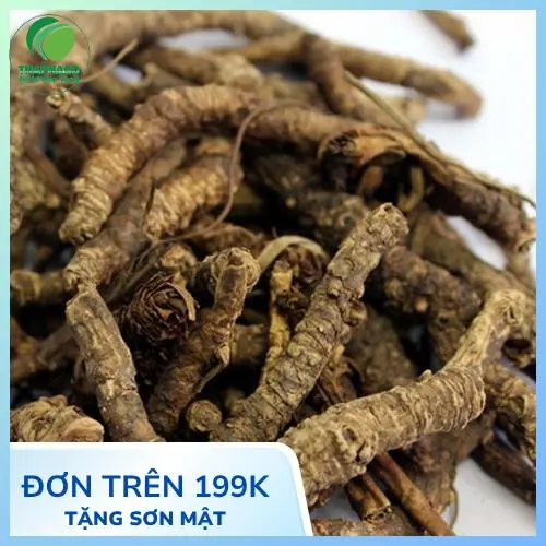 Hình ảnh Hoàng Liên khô được đóng gói cẩn thận của THAPHACO