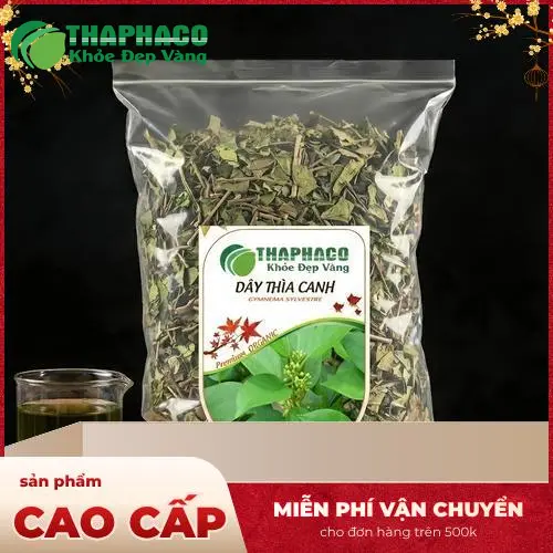 Kho dược liệu Dây Thìa Canh sấy khô của THAPHACO