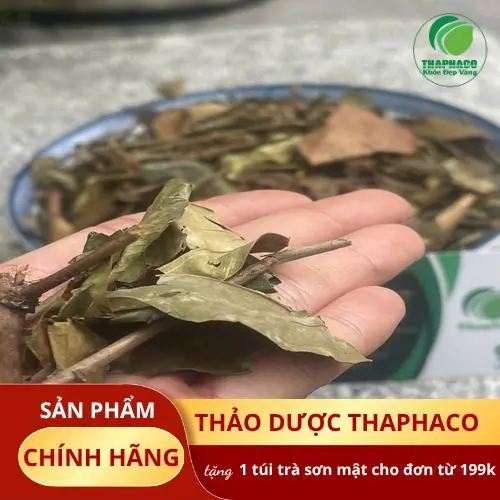 Hình ảnh chè vằng khô nguyên chất