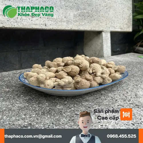 Những lát củ tam thất nam đã thái lát phơi khô chất lượng
