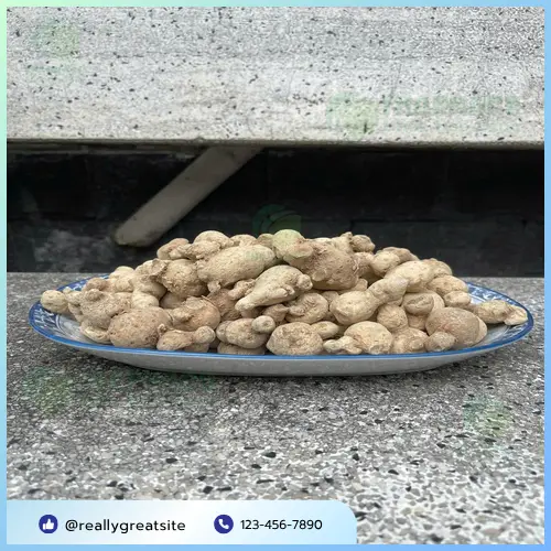 Sản phẩm củ tam thất nam đã được đóng gói cẩn thận tại Dược Liệu Sỉ THAPHACO