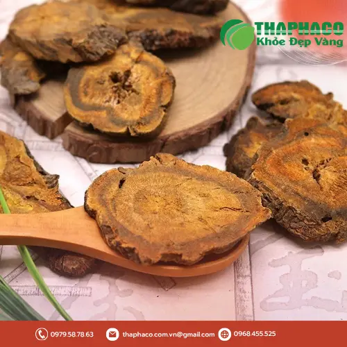 Đại Hoàng tươi chất lượng cao tại THAPHACO